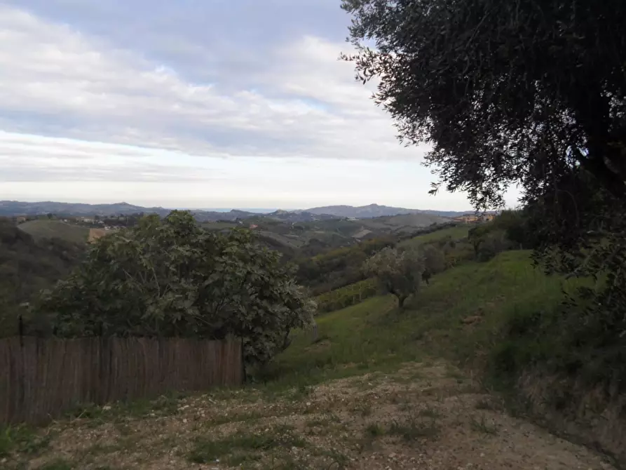Immagine 8 di Casa indipendente in vendita  in Strada Provinciale a Castorano