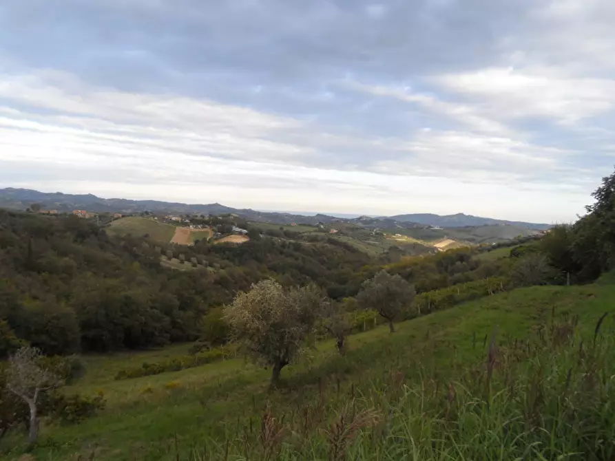 Immagine 28 di Casa indipendente in vendita  in Strada Provinciale a Castorano