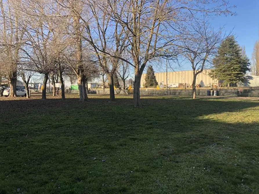 Immagine 6 di Terreno residenziale in vendita  in Via Canal Bianco a Ferrara