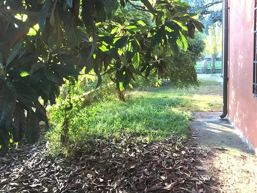Immagine 7 di Casa indipendente in vendita  in via smeraldina a Ferrara