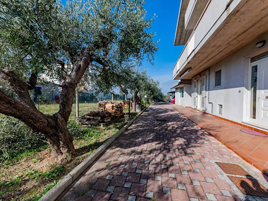 Immagine 1 di Casa indipendente in vendita  in VIA ROMA a Torrevecchia Teatina
