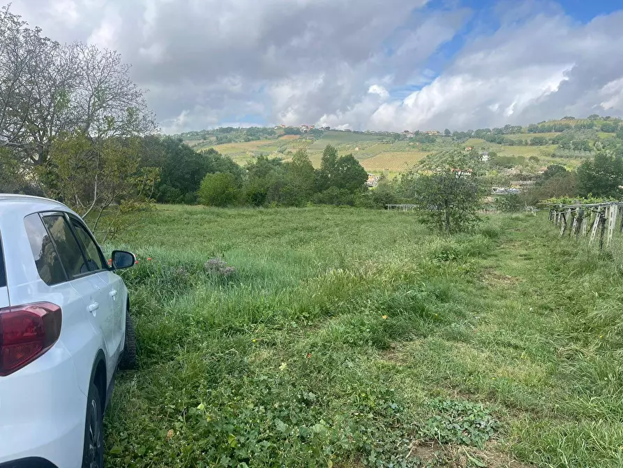 Immagine 3 di Magazzino in vendita  a Miglianico