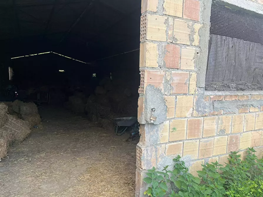 Immagine 4 di Magazzino in vendita  a Miglianico