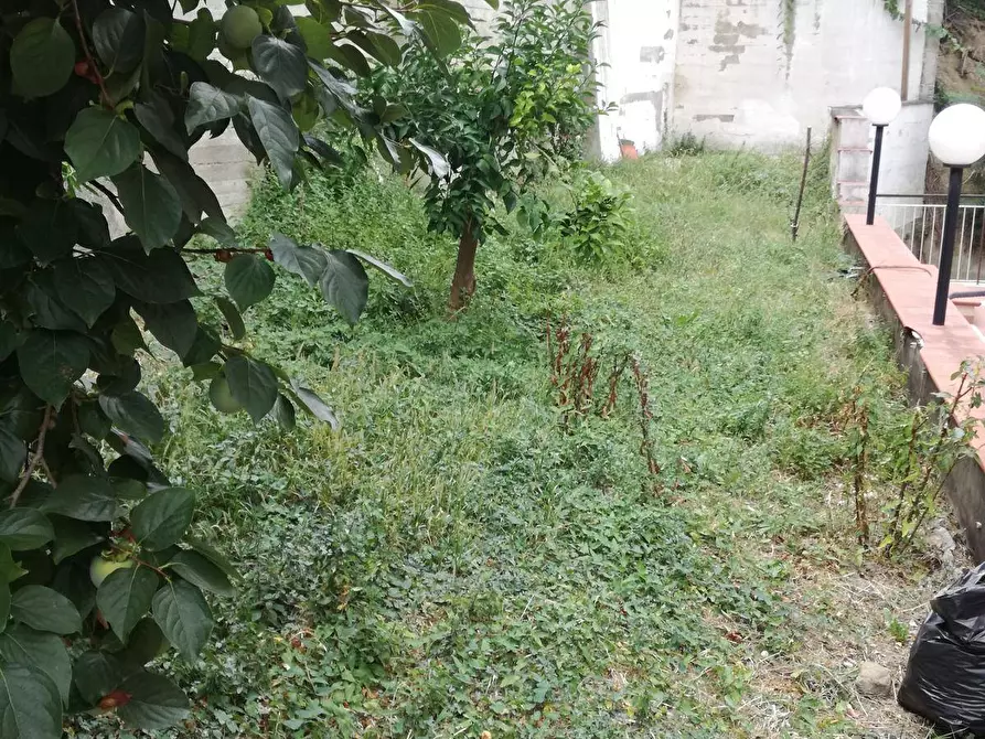 Immagine 5 di Appartamento in vendita  in Via Picena a Chieti