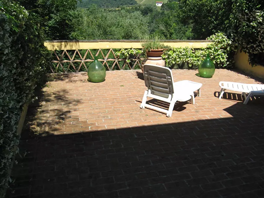 Immagine 17 di Rustico / casale in vendita  a Montespertoli