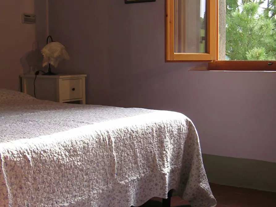 Immagine 5 di Casa indipendente in vendita  a Montespertoli