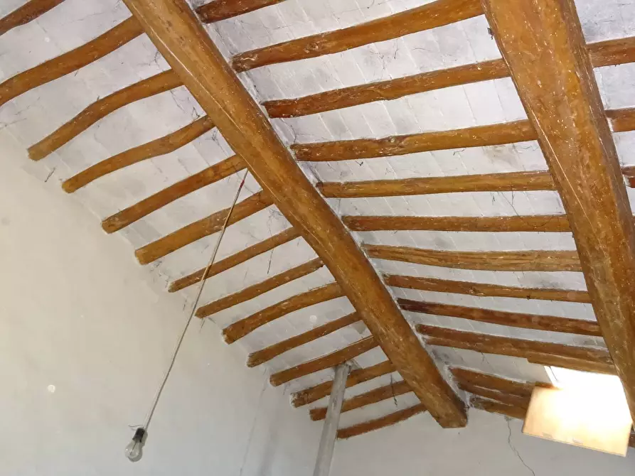 Immagine 3 di Rustico / casale in vendita  a Montespertoli