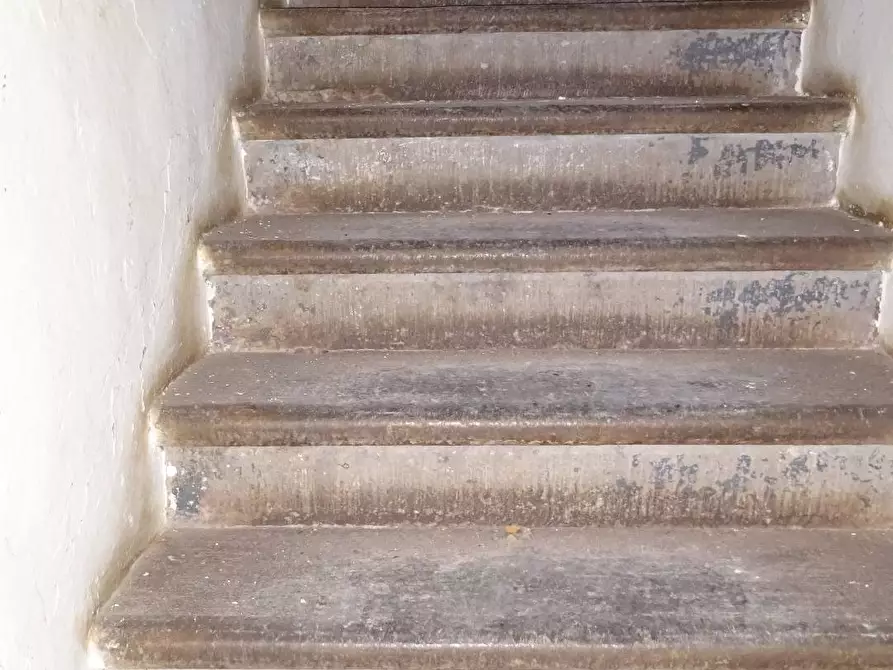 Immagine 9 di Rustico / casale in vendita  a Montespertoli