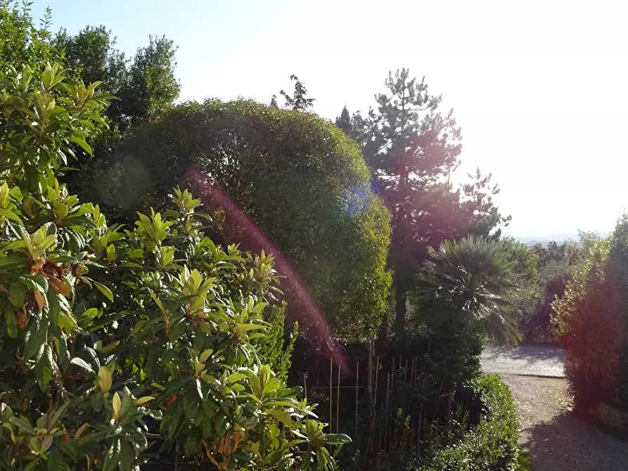 Immagine 7 di Appartamento in vendita  a Montespertoli