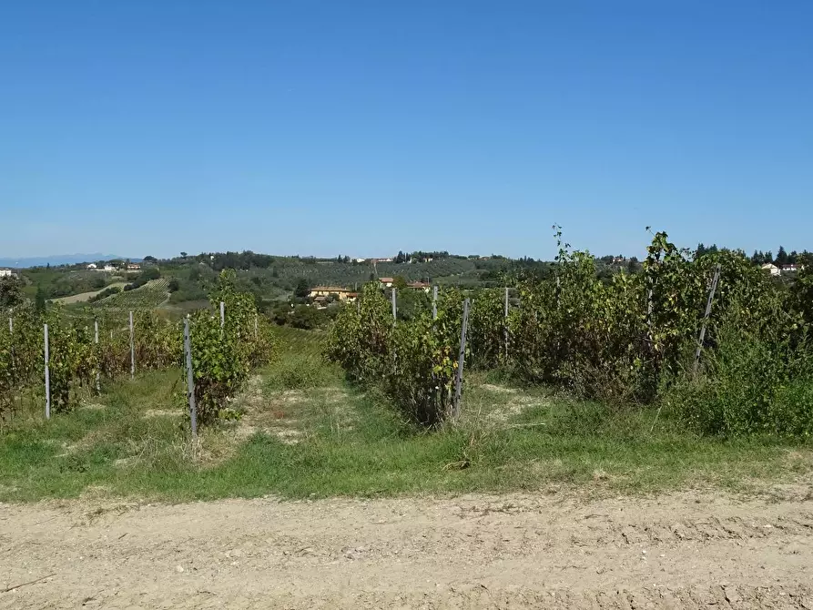 Immagine 6 di Azienda agricola in vendita  a Montespertoli