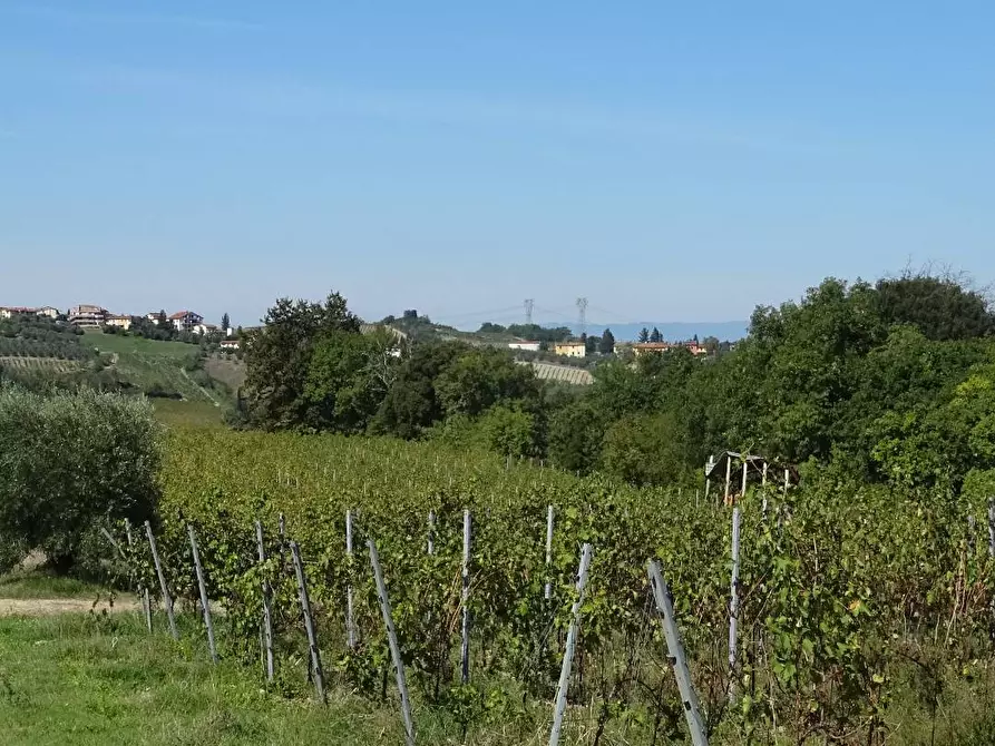 Immagine 7 di Azienda agricola in vendita  a Montespertoli
