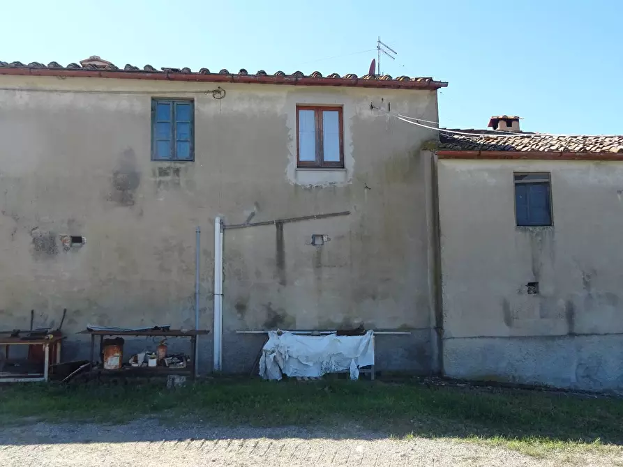 Immagine 9 di Azienda agricola in vendita  a Montespertoli