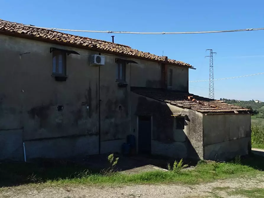 Immagine 11 di Azienda agricola in vendita  a Montespertoli