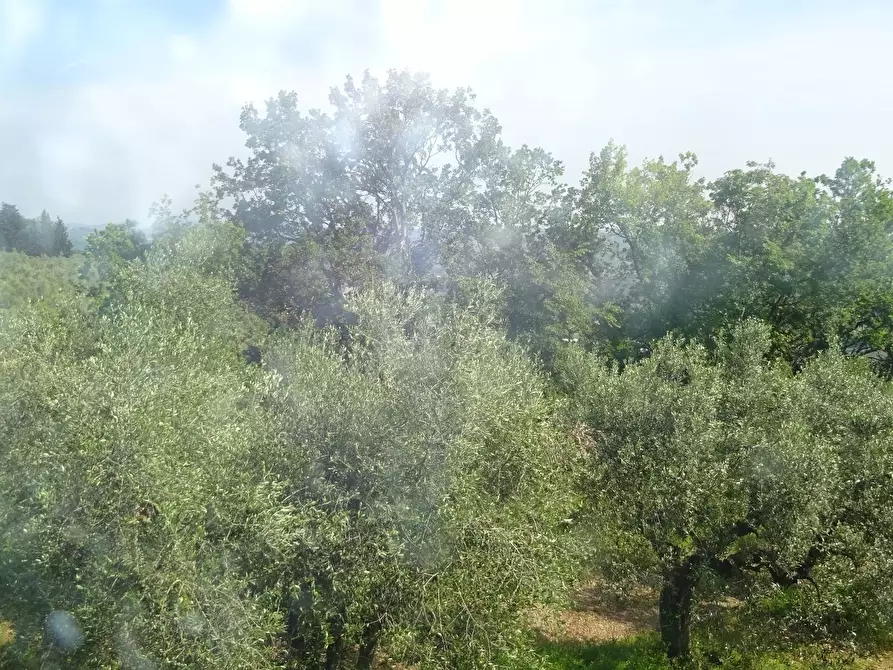 Immagine 5 di Rustico / casale in vendita  a San Casciano In Val Di Pesa