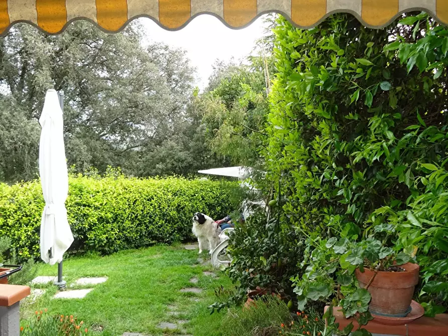 Immagine 4 di Appartamento in vendita  a Montespertoli