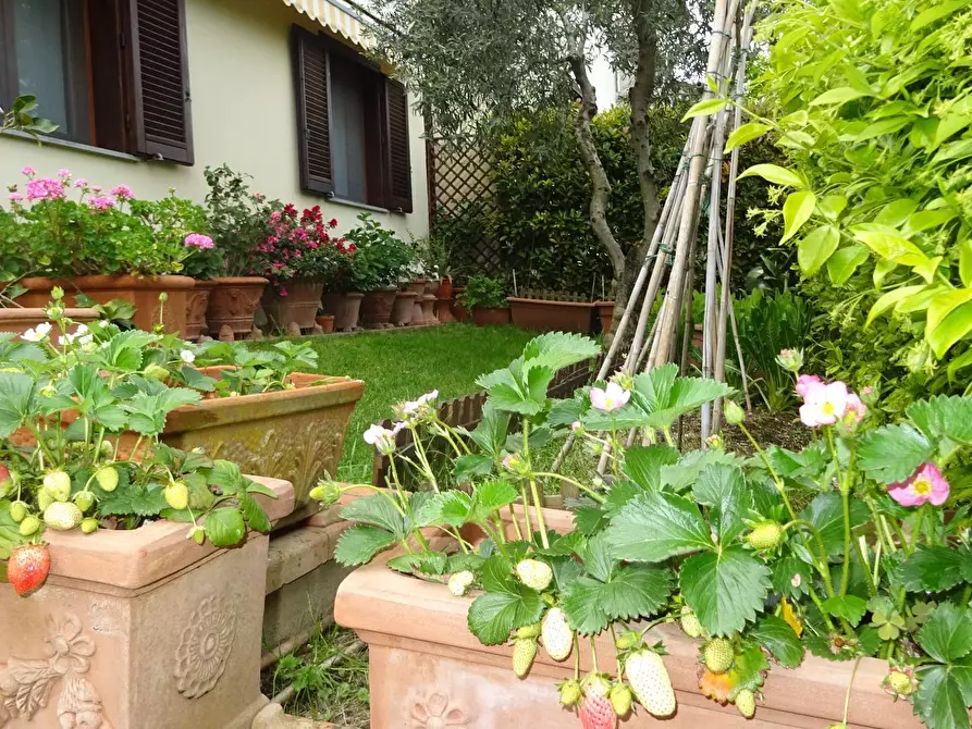 Immagine 2 di Appartamento in vendita  a Montespertoli