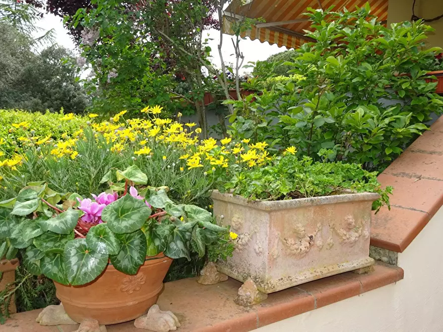 Immagine 24 di Appartamento in vendita  a Montespertoli