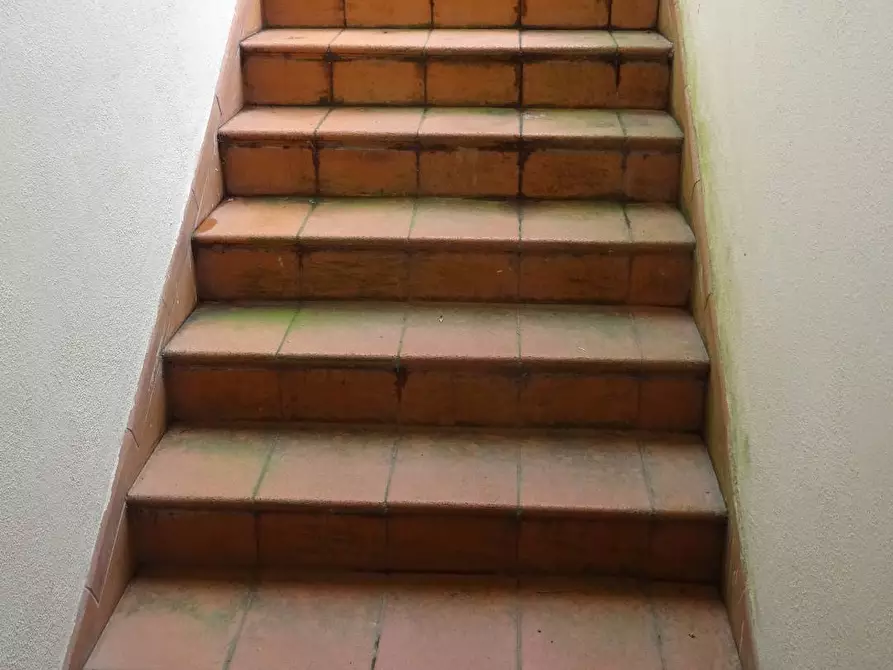 Immagine 25 di Appartamento in vendita  a Montespertoli