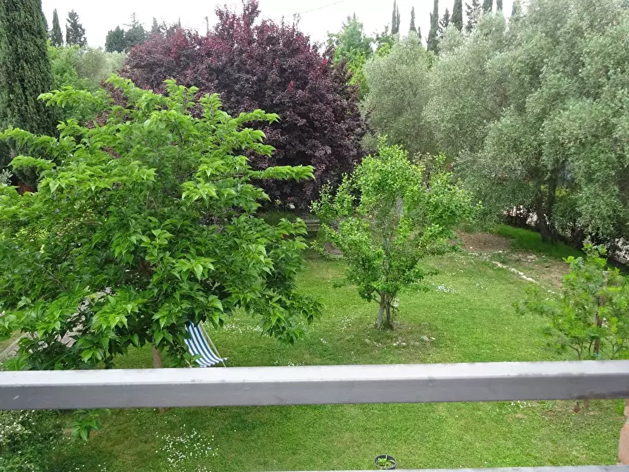 Immagine 4 di Rustico / casale in vendita  a Montespertoli