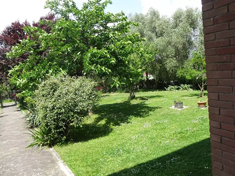 Immagine 2 di Rustico / casale in vendita  a Montespertoli