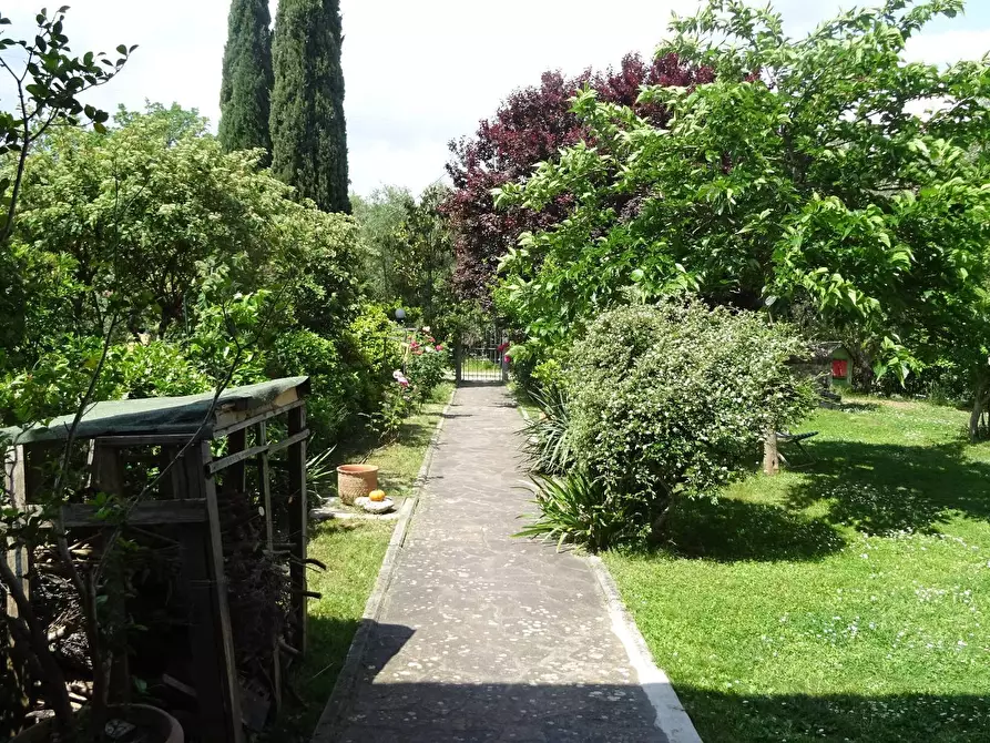 Immagine 5 di Rustico / casale in vendita  a Montespertoli