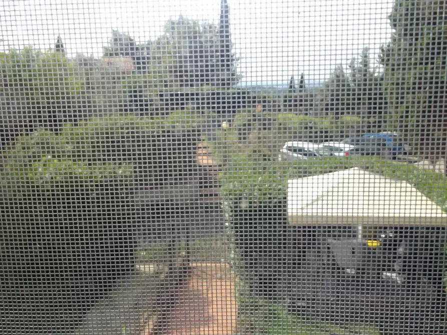 Immagine 7 di Appartamento in vendita  a Montespertoli