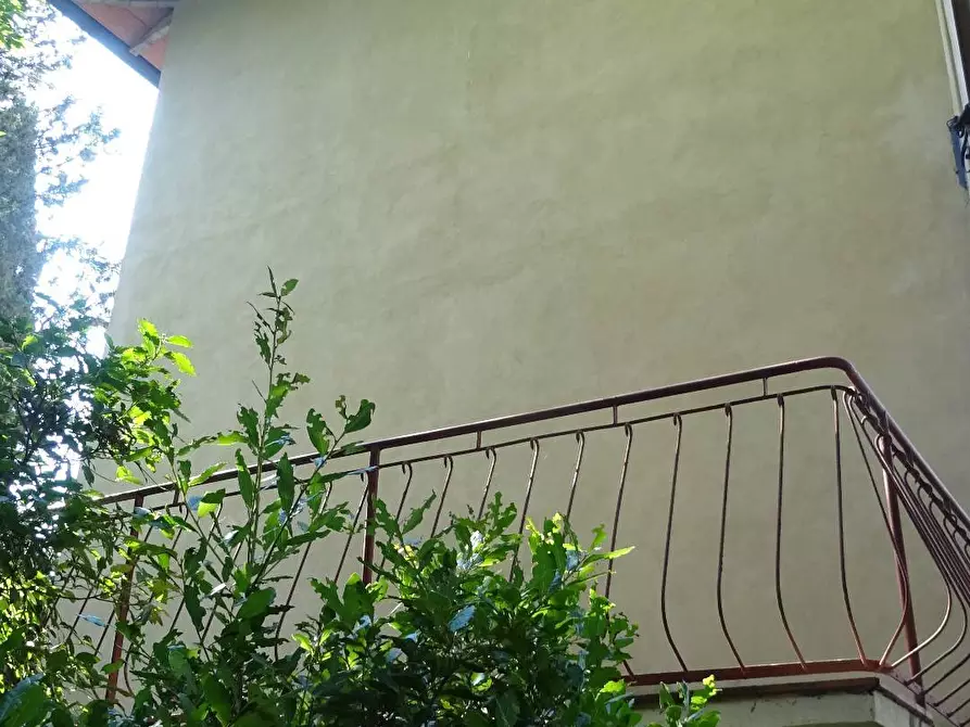 Immagine 30 di Villa in vendita  a Montespertoli