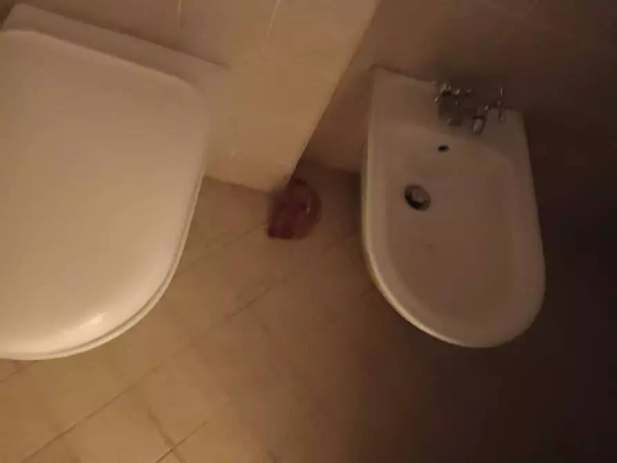 Immagine 25 di Rustico / casale in vendita  a Montespertoli