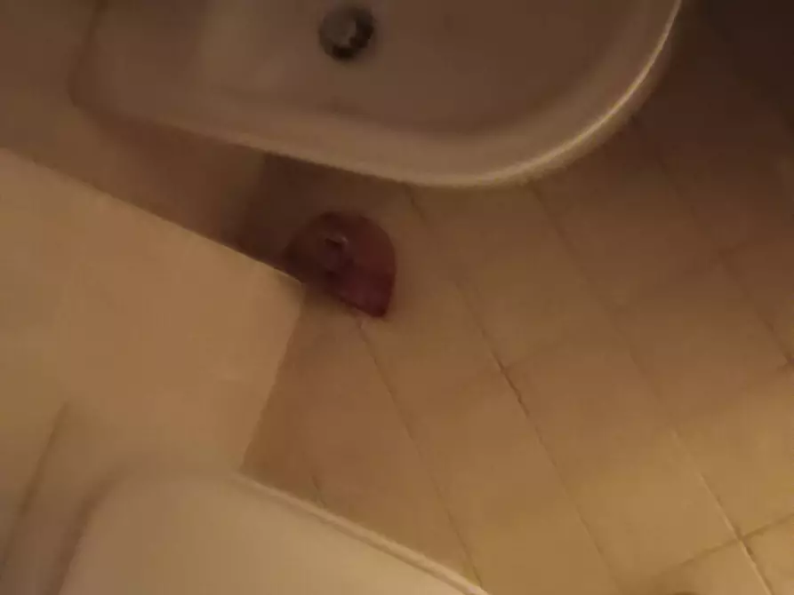 Immagine 27 di Rustico / casale in vendita  a Montespertoli