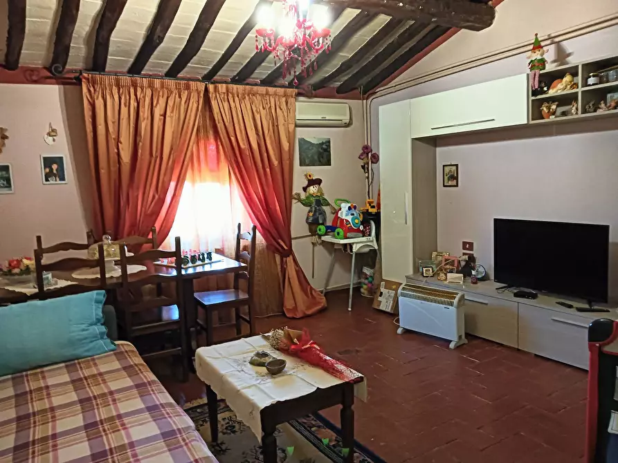 Immagine 17 di Azienda agricola in vendita  a Montespertoli