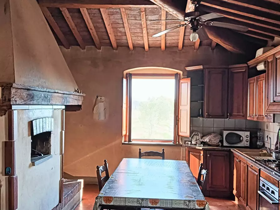 Immagine 27 di Azienda agricola in vendita  a Montespertoli