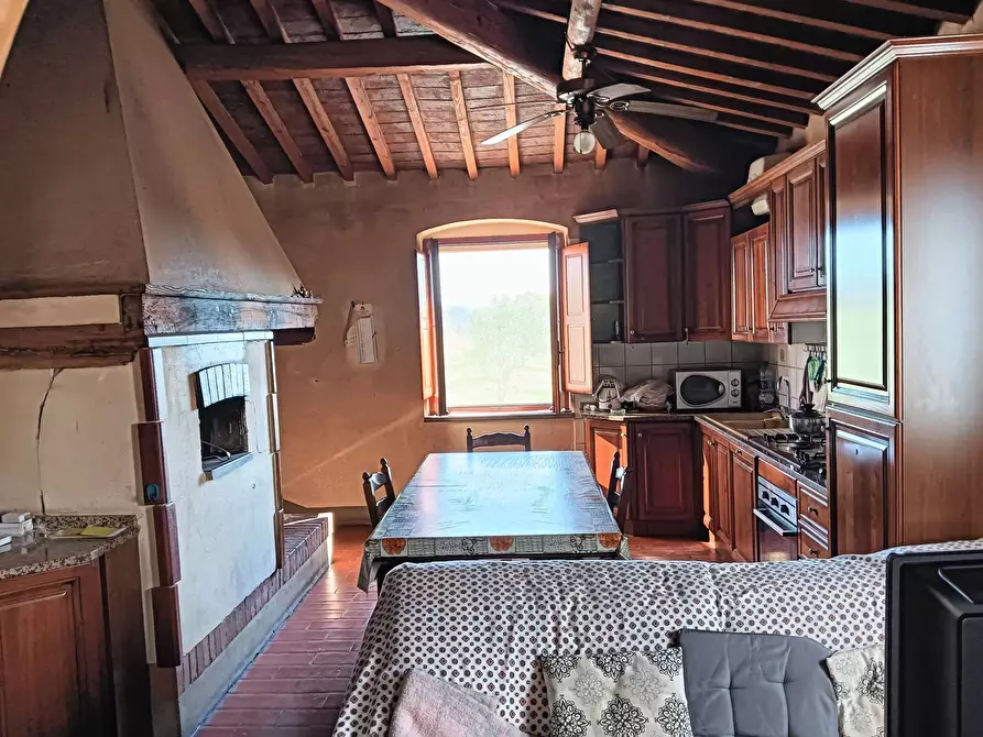 Immagine 28 di Azienda agricola in vendita  a Montespertoli