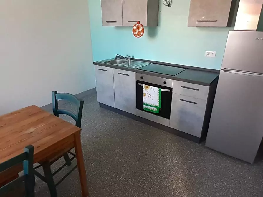 Immagine 5 di Casa vacanze in affitto  a Vecchiano