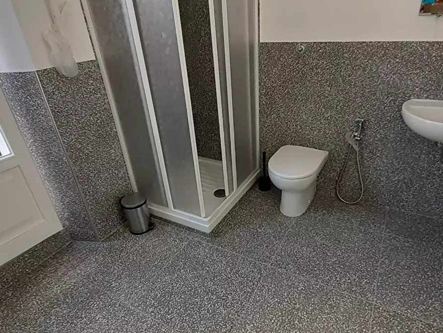 Immagine 9 di Casa vacanze in affitto  a Vecchiano