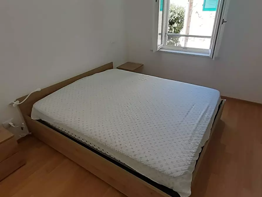 Immagine 15 di Casa vacanze in affitto  a Vecchiano