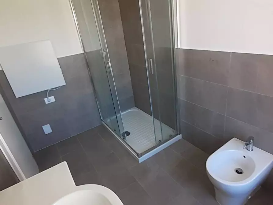 Immagine 19 di Casa vacanze in affitto  a Vecchiano