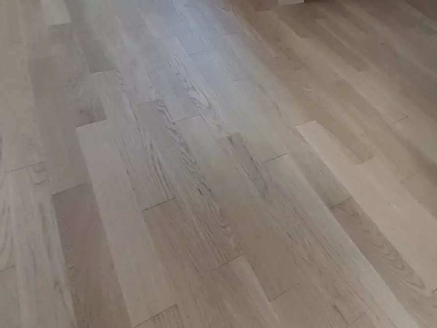 Immagine 22 di Casa vacanze in affitto  a Vecchiano