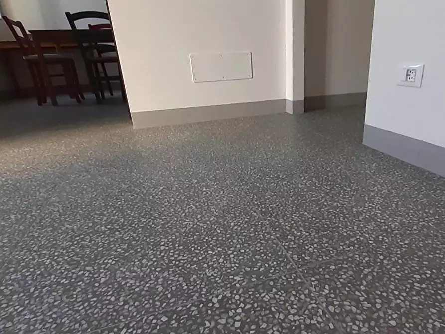 Immagine 23 di Casa vacanze in affitto  a Vecchiano