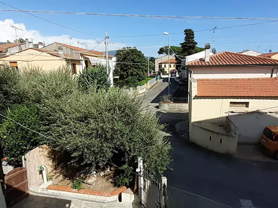 Immagine 24 di Casa vacanze in affitto  a Vecchiano