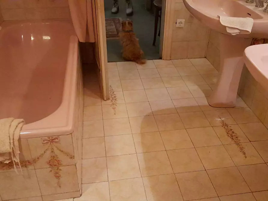 Immagine 17 di Villa in vendita  a San Giuliano Terme