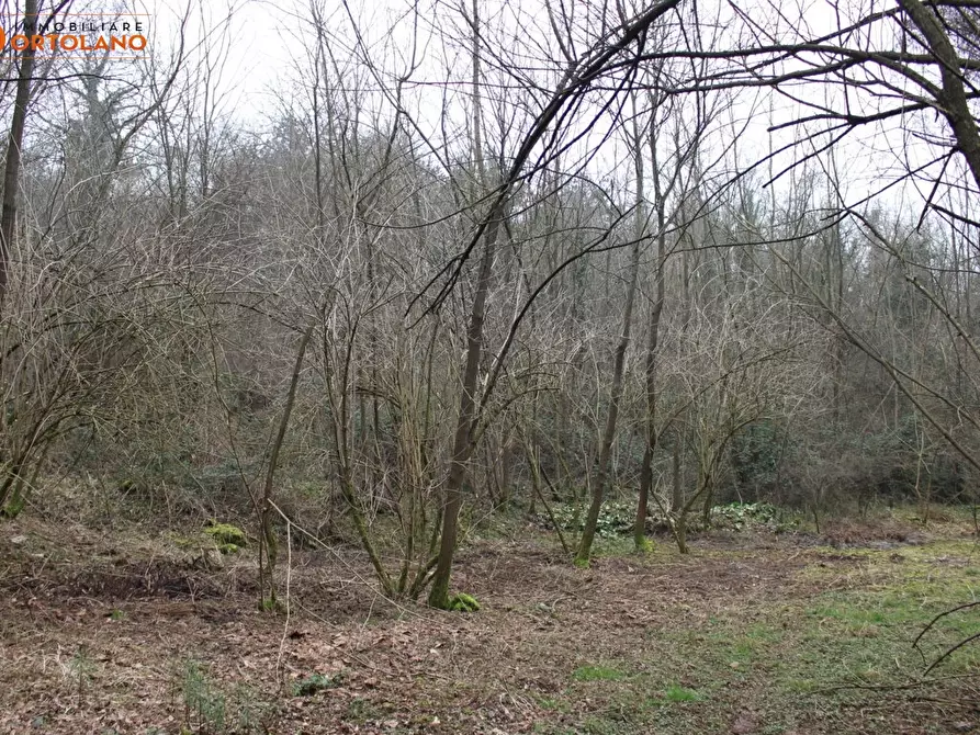 Immagine 9 di Terreno agricolo in vendita  a Sagrado