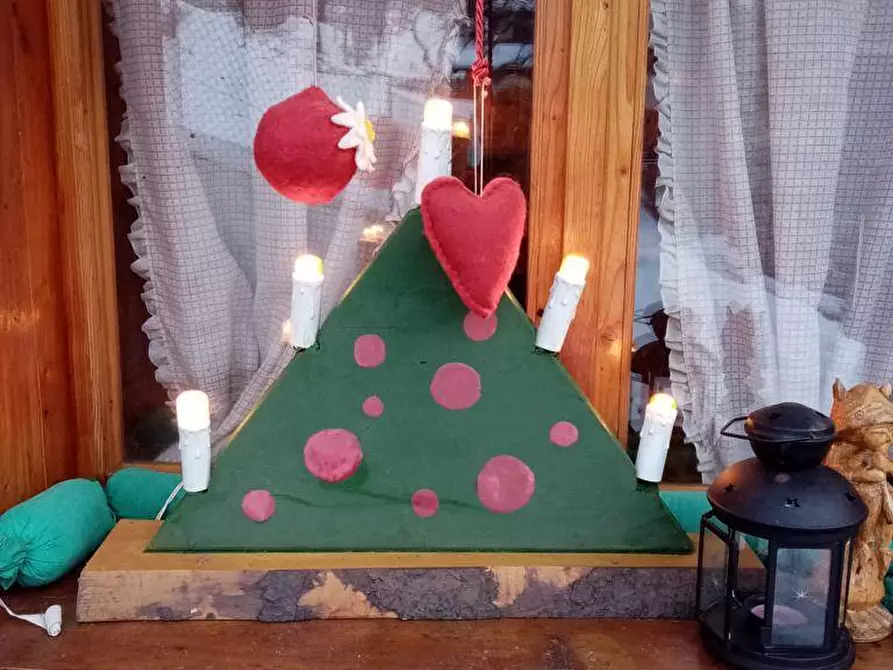 Immagine 11 di Appartamento in affitto  in Via Prepaulin a Ravascletto