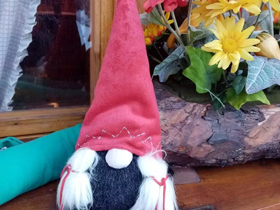 Immagine 14 di Appartamento in affitto  in Via Prepaulin a Ravascletto