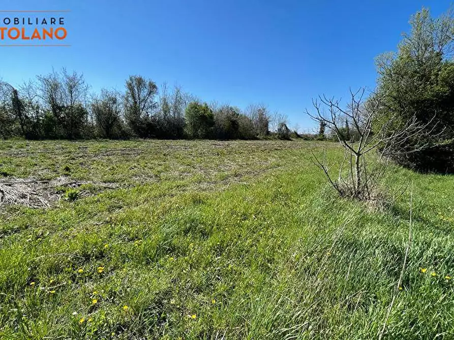 Immagine 7 di Terreno agricolo in vendita  in VIA MARCO POLO a San Canzian D'isonzo