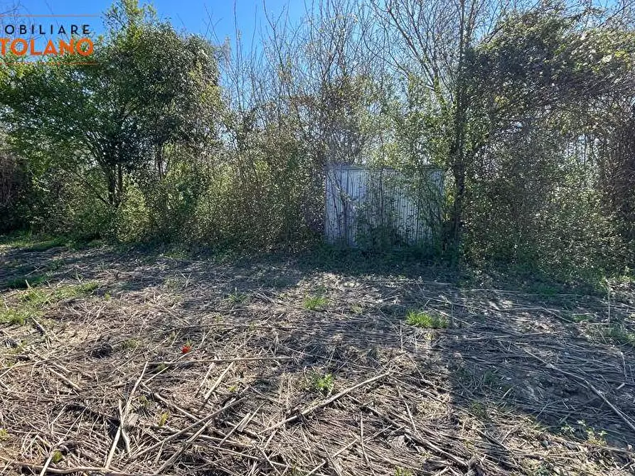 Immagine 4 di Terreno agricolo in vendita  in VIA MARCO POLO a San Canzian D'isonzo