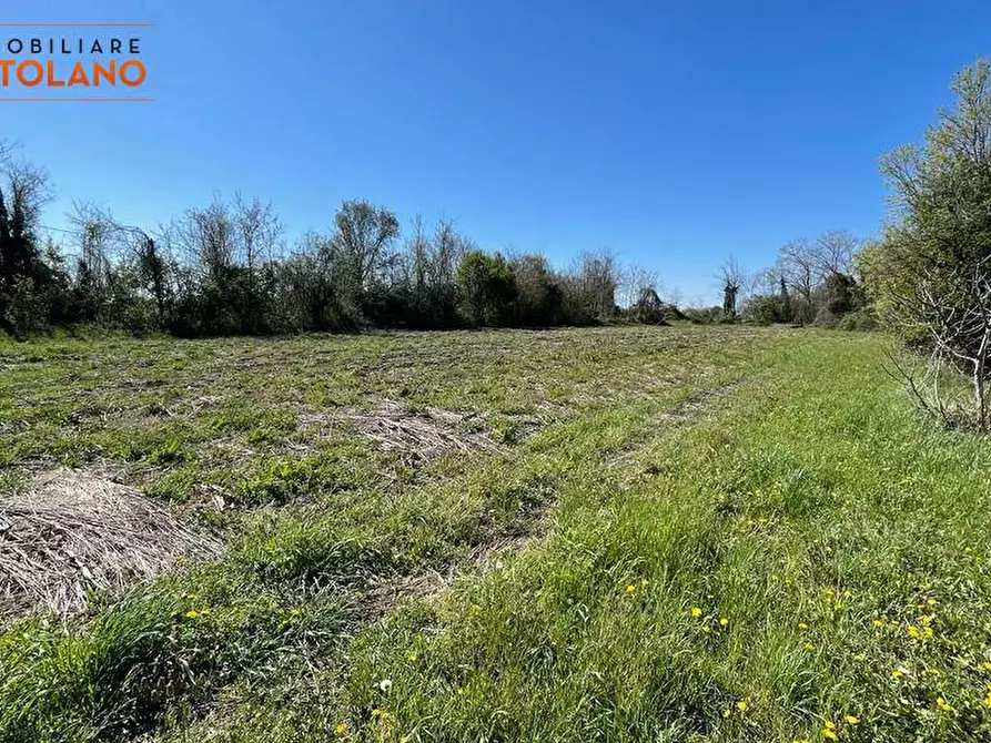 Immagine 9 di Terreno agricolo in vendita  in VIA MARCO POLO a San Canzian D'isonzo