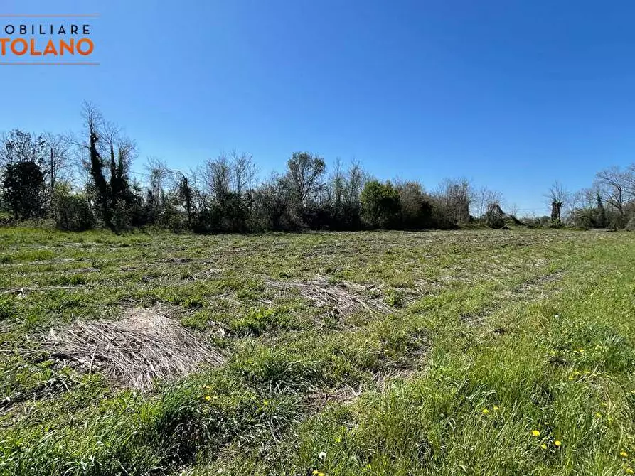 Immagine 5 di Terreno agricolo in vendita  in VIA MARCO POLO a San Canzian D'isonzo