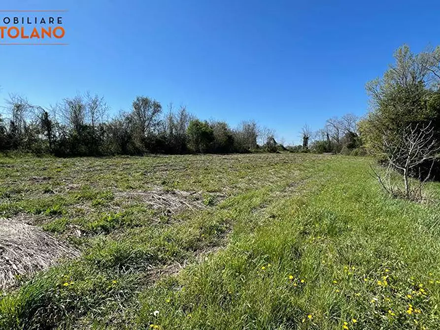 Immagine 3 di Terreno agricolo in vendita  in VIA MARCO POLO a San Canzian D'isonzo