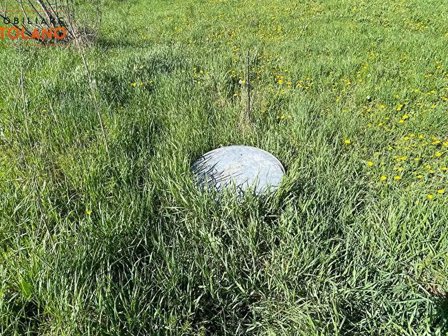 Immagine 6 di Terreno agricolo in vendita  in VIA MARCO POLO a San Canzian D'isonzo