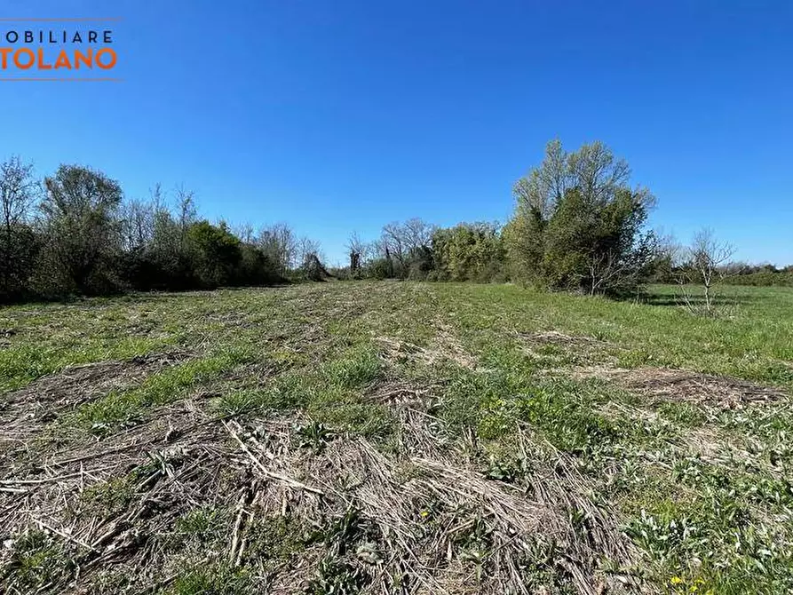 Immagine 10 di Terreno agricolo in vendita  in VIA MARCO POLO a San Canzian D'isonzo
